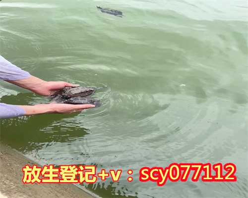 湖南哪里放生蛇最好，湖南凤凰县救助1米长野生娃娃鱼放生水库